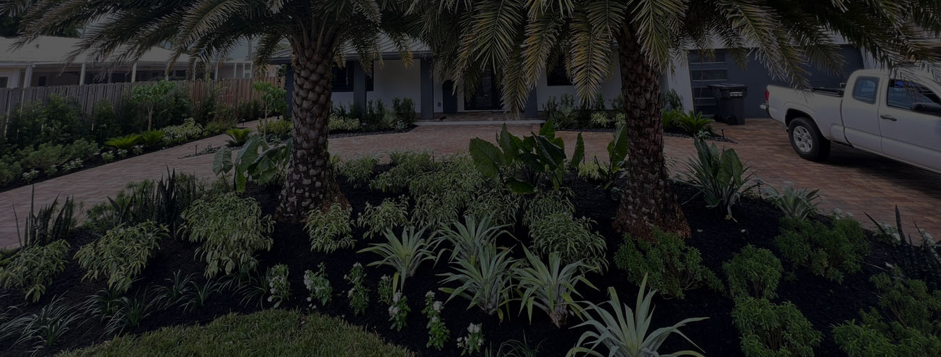 Palm Beach Landscape Design